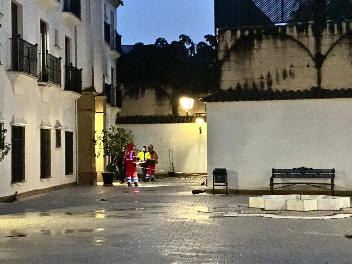 Los bomberos acordonan la zona en la que se produjo la caída del árbol en Montilla.