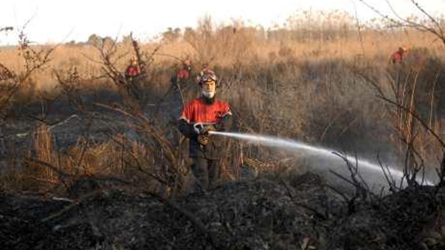 Los bomberos se emplean a fondo para apagar un incendio en El Hondo con nueve focos