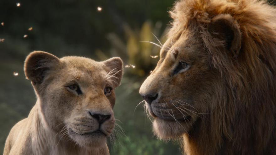 Imatge del film &#039;El rey león&#039;.