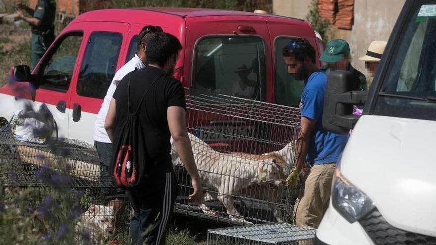 Agentes del Seprona, voluntarios de Scooby y veterinarios de la Junta durante el rescate de perros.