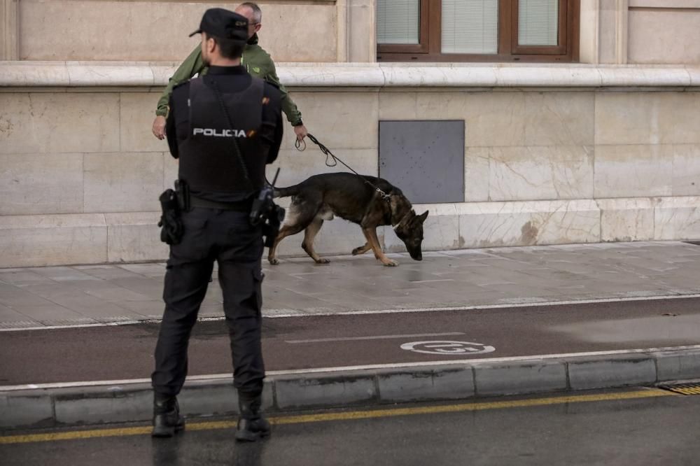 Am Sonntagnachmittag (13.11.) sperrte die Guardia Civil auf Mallorca Palmas Paseo Marítimo, um einen herrenlosen Koffer auf mögliche Sprengsätze zu prüfen. Ein speziell ausgebildeter Polizeihund näher