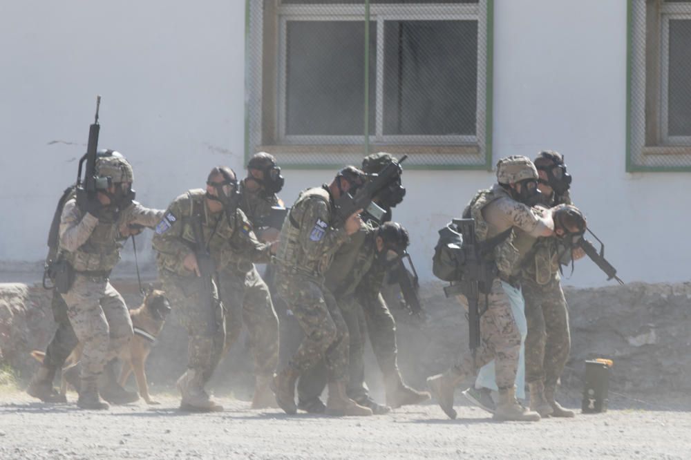 Ejercicio de la policía militar en Bétera con presencia del rey