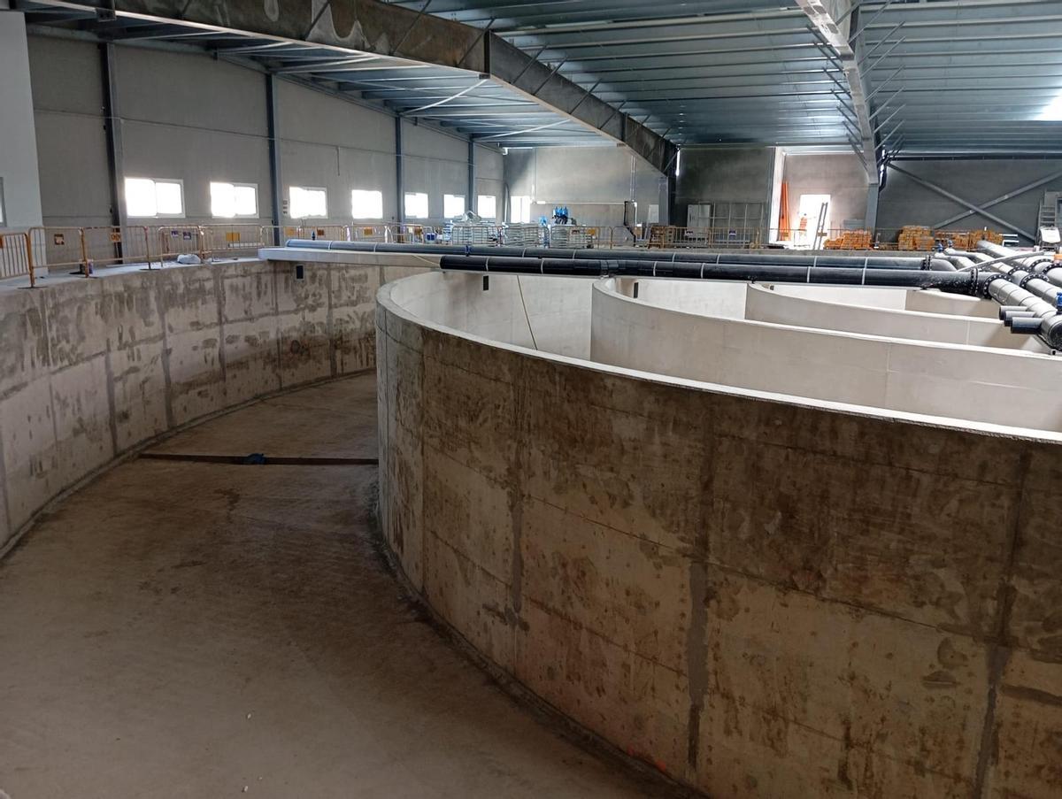 Piscifactoría para multiengorde de pez limón en Alicante
