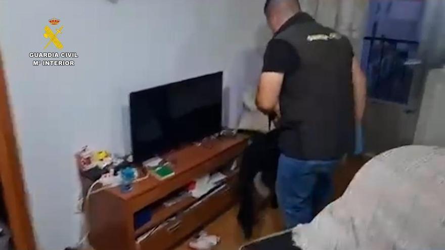 Detenidos cuatro integrantes de un grupo familiar dedicado al tráfico de drogas en Cabeza del Buey y Orellana