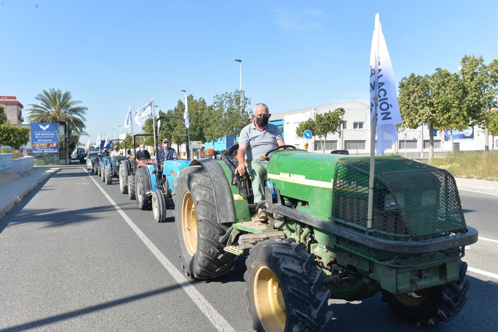 Las imágenes de la manifestación en defensa del Trasvase Tajo-Segura en Elche