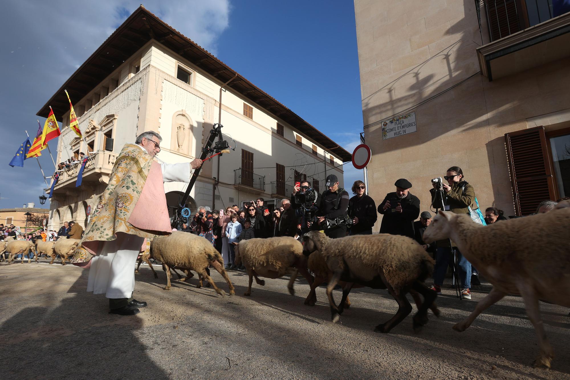 Gott sei mit euch: So wurden in Muro 2023 die Tiere gesegnet