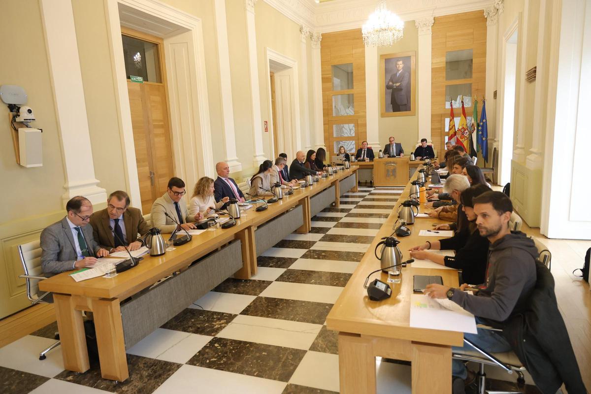 Sesión plenaria, este jueves, en Cáceres.