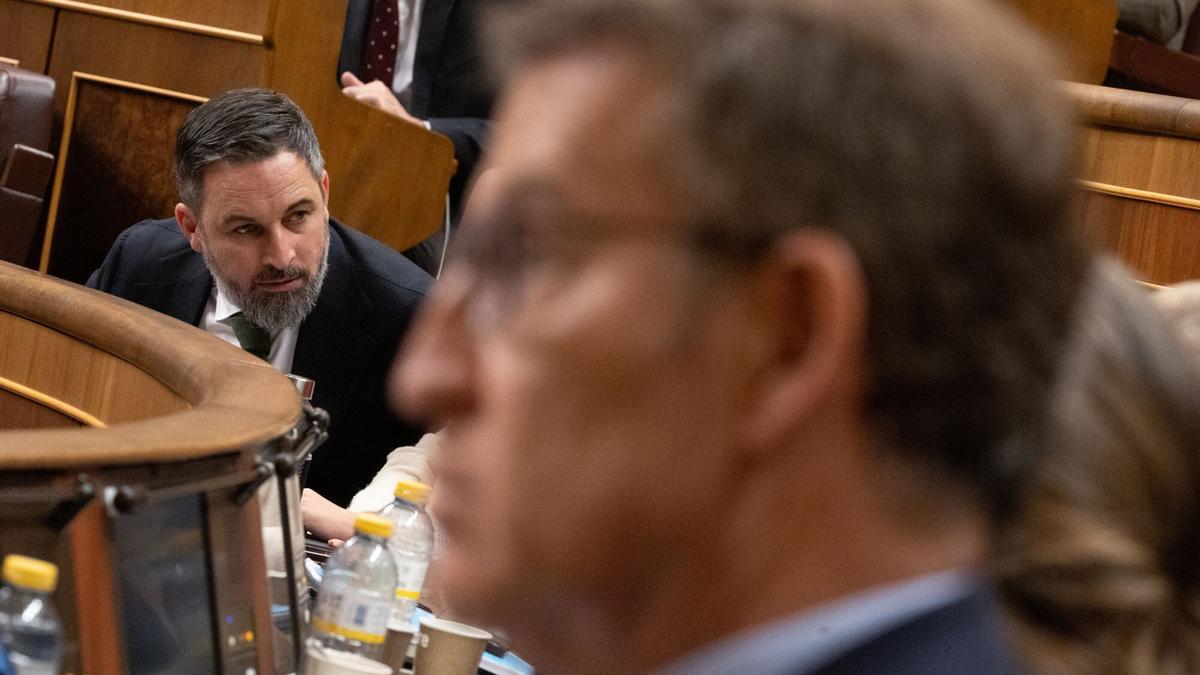 El líder de Vox, Santiago Abascal, durante un pleno en el Congreso de los Diputados. En el primer plano, Alberto Núñez Feijóo.