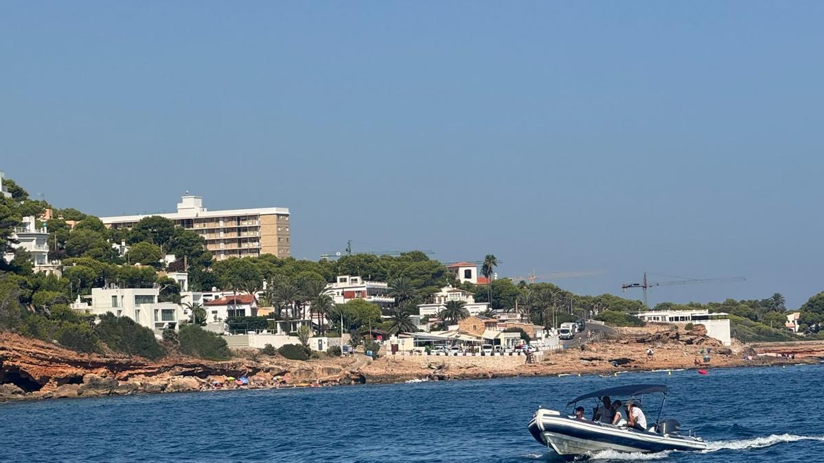 El servicio de vigilancia de la Generalitat ha recibido en lo que va de año más de 500 avisos sobre embarcaciones fondeadas en praderas de posidonia.