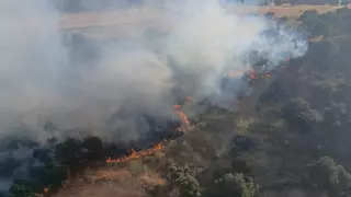Medios aéreos y terrestres del Infoca combaten contra un incendio forestal en Peñarroya-Pueblonuevo
