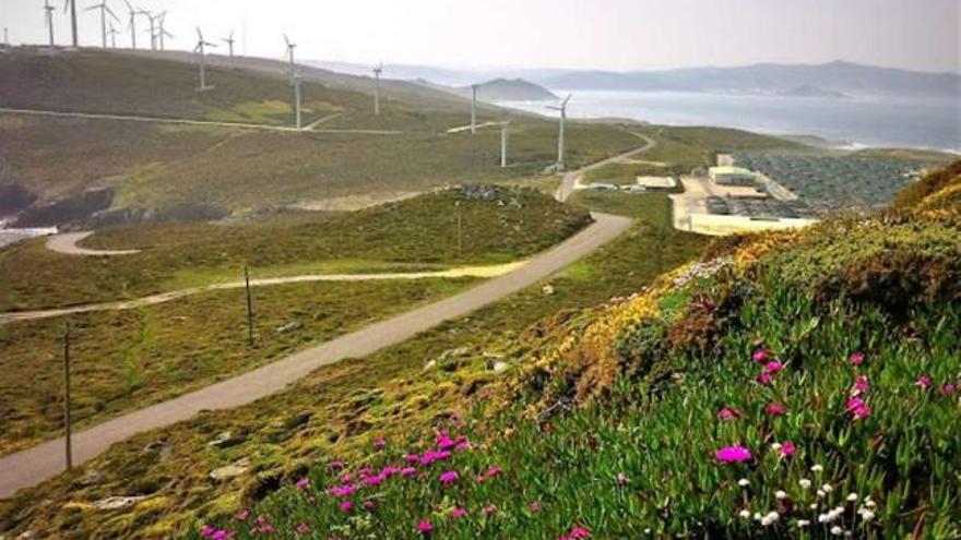 Vista del parque eólico de Vilán y, al otro lado de la carretera, la piscifactoría construida en la zona. / la opinión