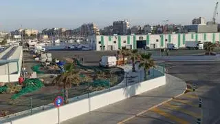 Marina Salinas pide a la Generalitat la cesión del parking de la nueva lonja de Torrevieja