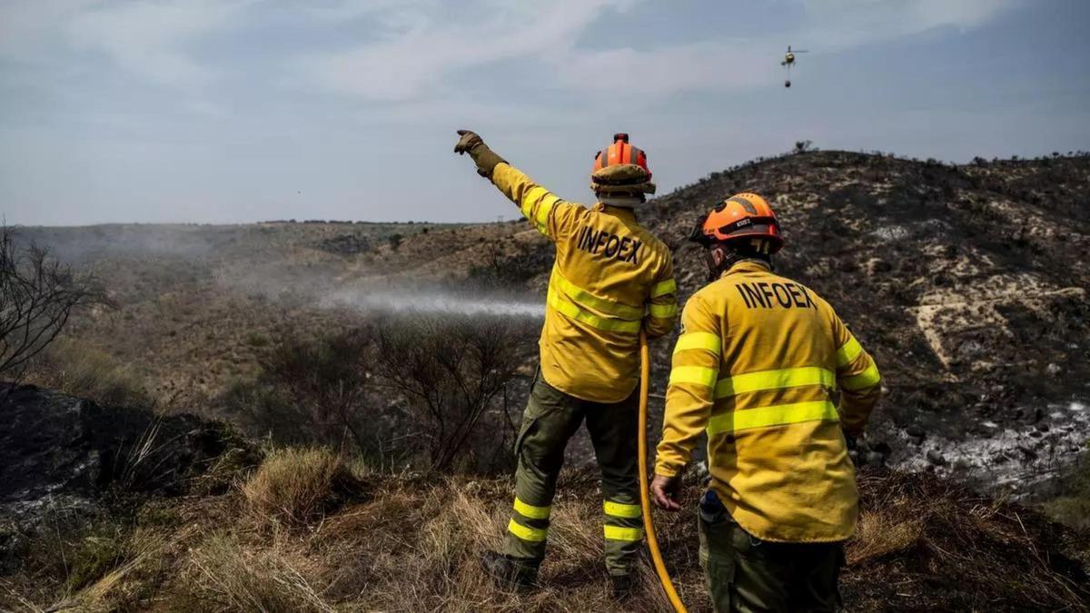 Extremadura encadena más de una veintena de incendios y el Infoex avisa de que el riesgo va a más – El Periódico Extremadura