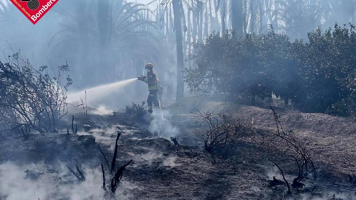 Labores de extinción del incendio en un huerto de palmeras
