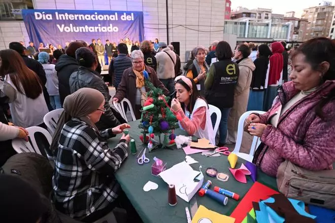 El Día del Voluntariado en Elche, en imágenes