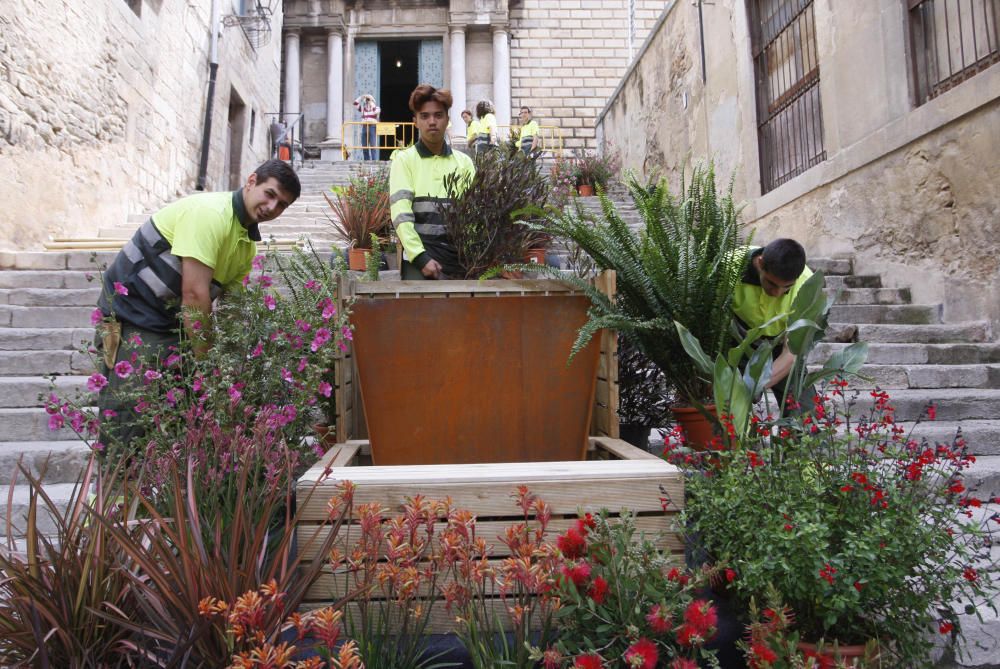 Preparatius de Temps de Flors