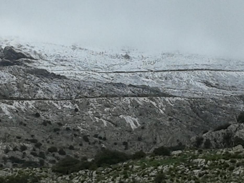 La nieve llega a Mallorca