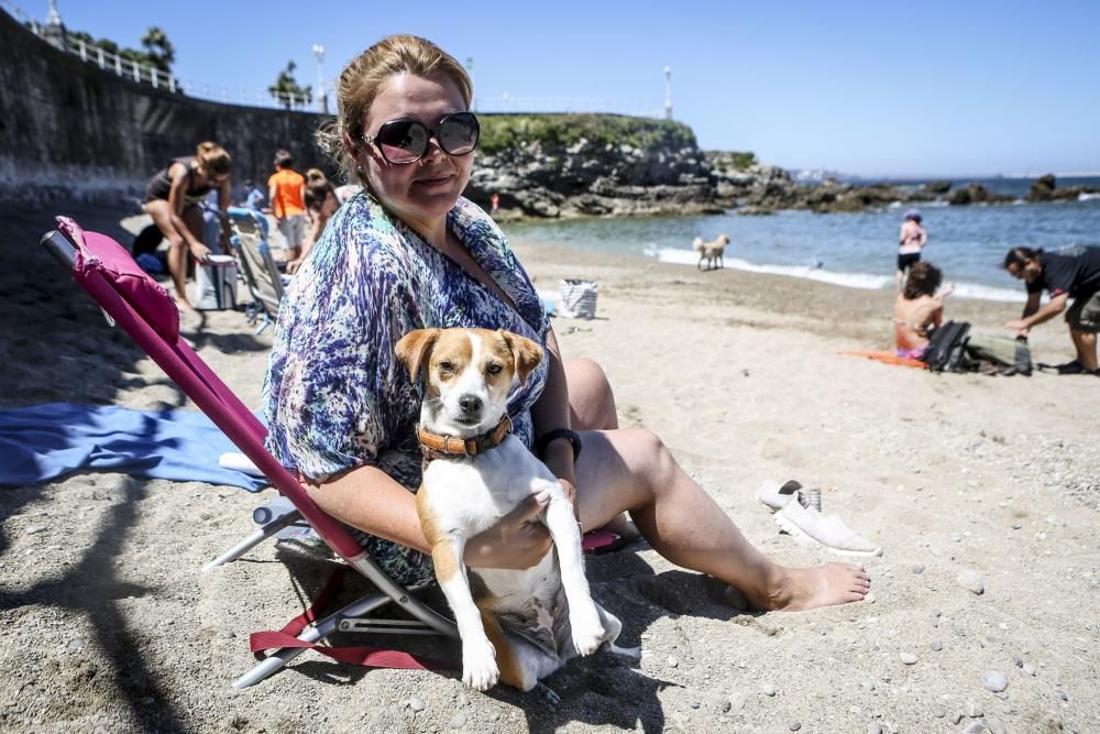 Baños al sol de los canes