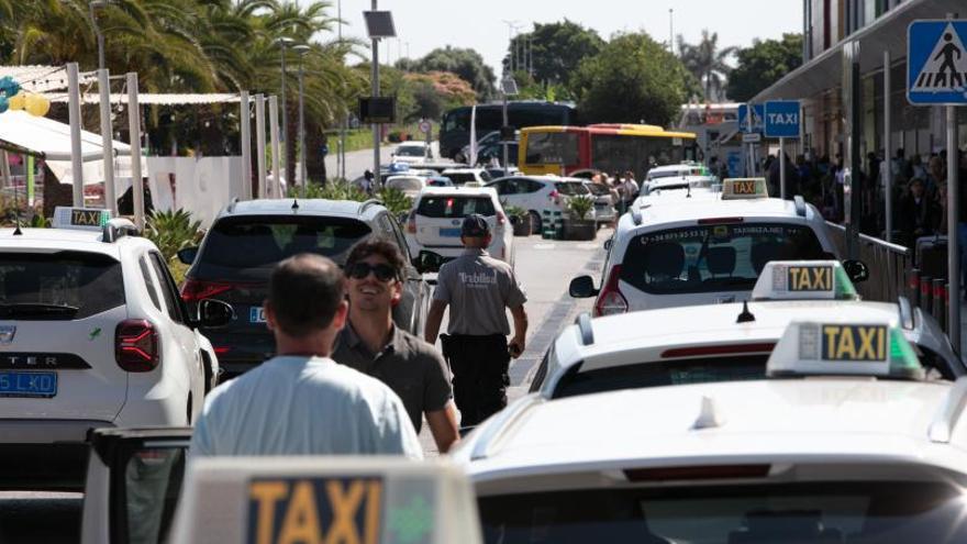 Taxis en la parada del aeropuerto de Eivissa, este verano. | VICENT MARÍ