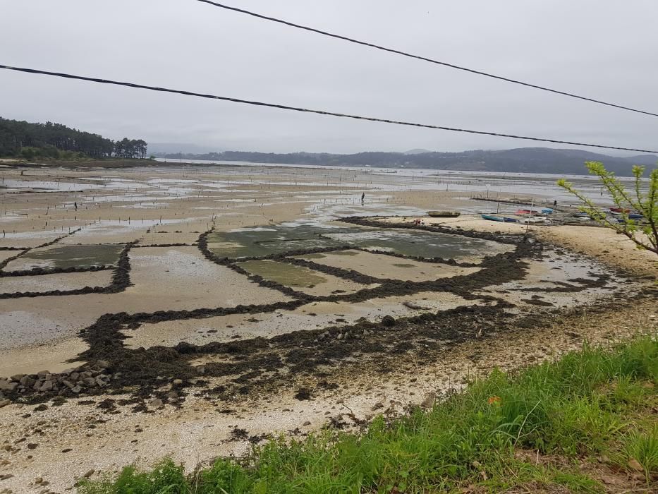 "Mareas vivas" en Galicia.