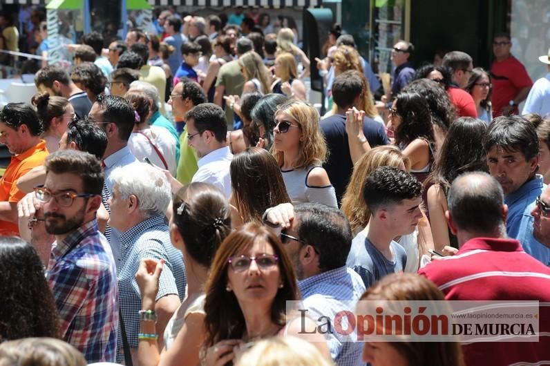 Cae parte del ficus de Santo Domingo en Murcia