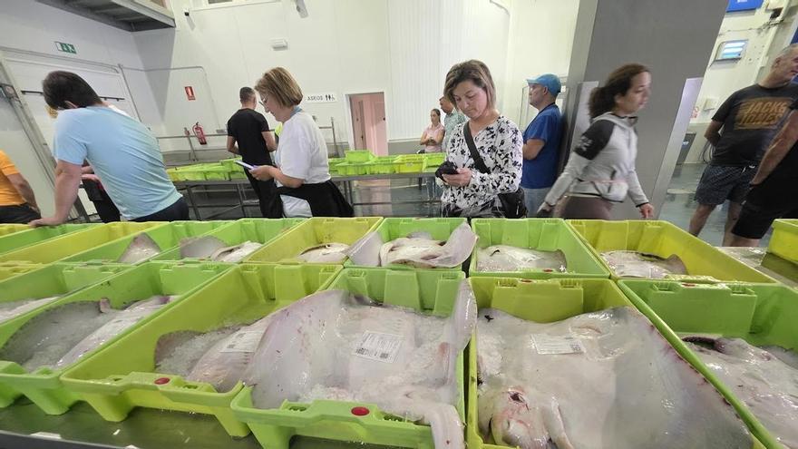 La veda del centollo y el buey de mar deja las lonjas gallegas a la espera de la nécora y el pulpo