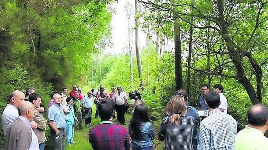 Participantes en el encuentro, ayer, durante su visita a un monte de Ponte Nova, en la vecina comunidad de Lugo.