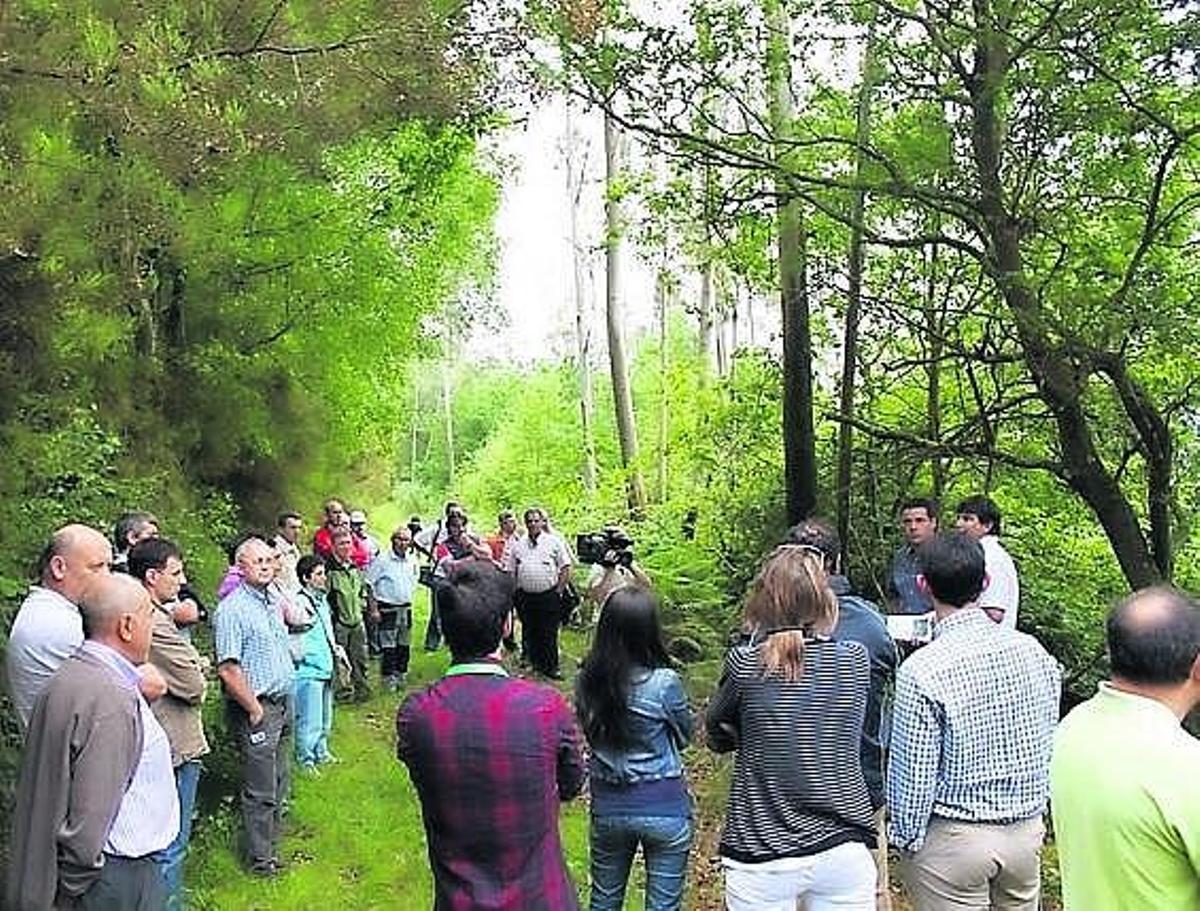 Participantes en el encuentro, ayer, durante su visita a un monte de Ponte Nova, en la vecina comunidad de Lugo.