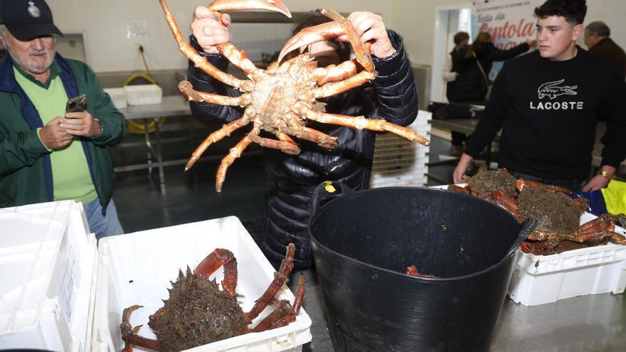 Rape, lirio o almeja: los tesoros gallegos de las lonjas frente al enemigo exterior