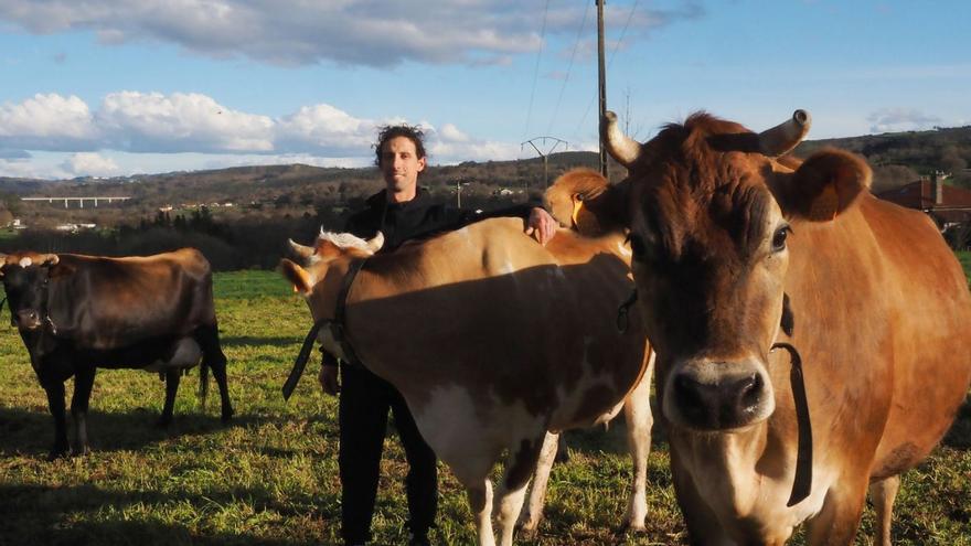 José Lorenzo con sus vacas de Casa de Carril.