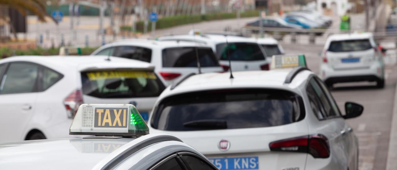 Taxis en una parada de Ibiza. Vicent Marí