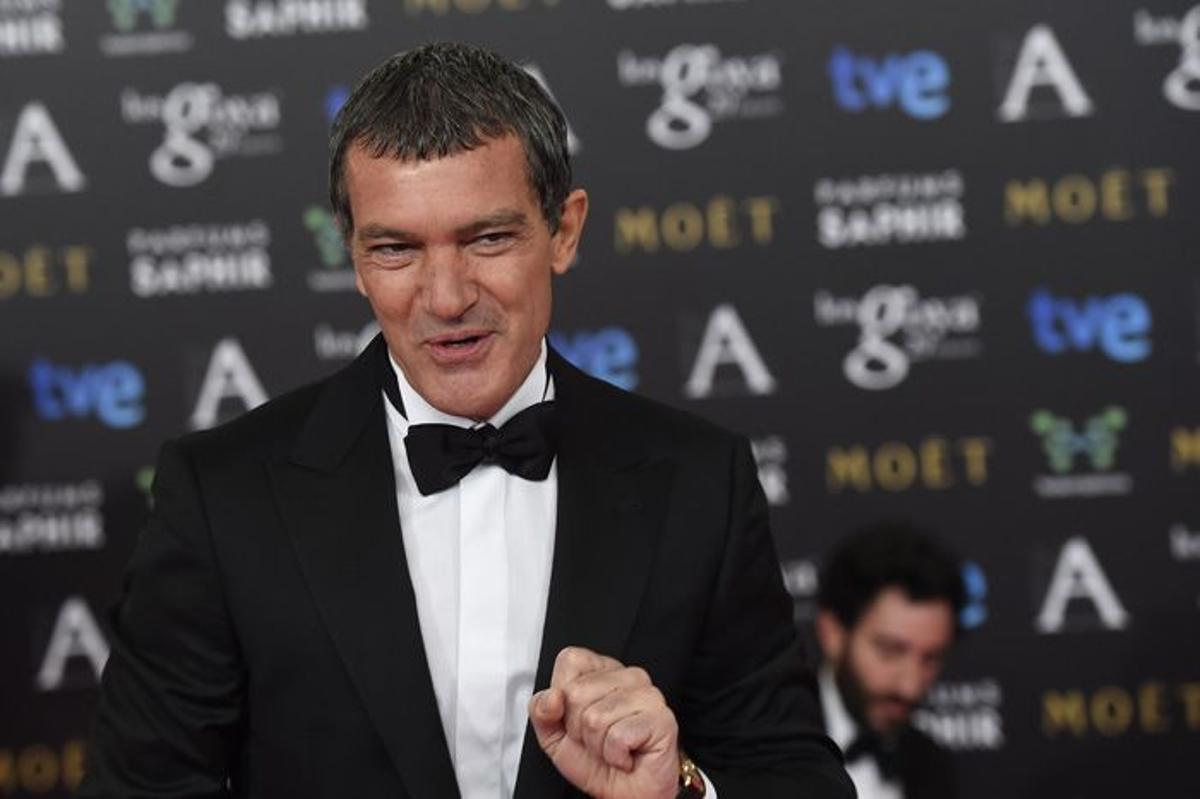 Premios Goya 2015, Antonio Banderas