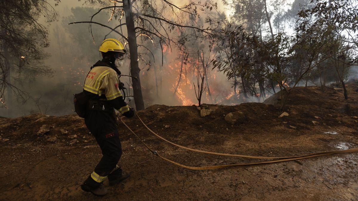 El incendio de Barcelona avanza sin control cerca de zonas habitadas y urbanizaciones