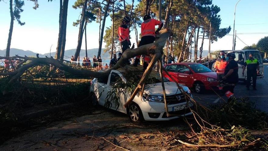 Dos jóvenes heridas en Vigo al caer la rama de un árbol sobre su coche