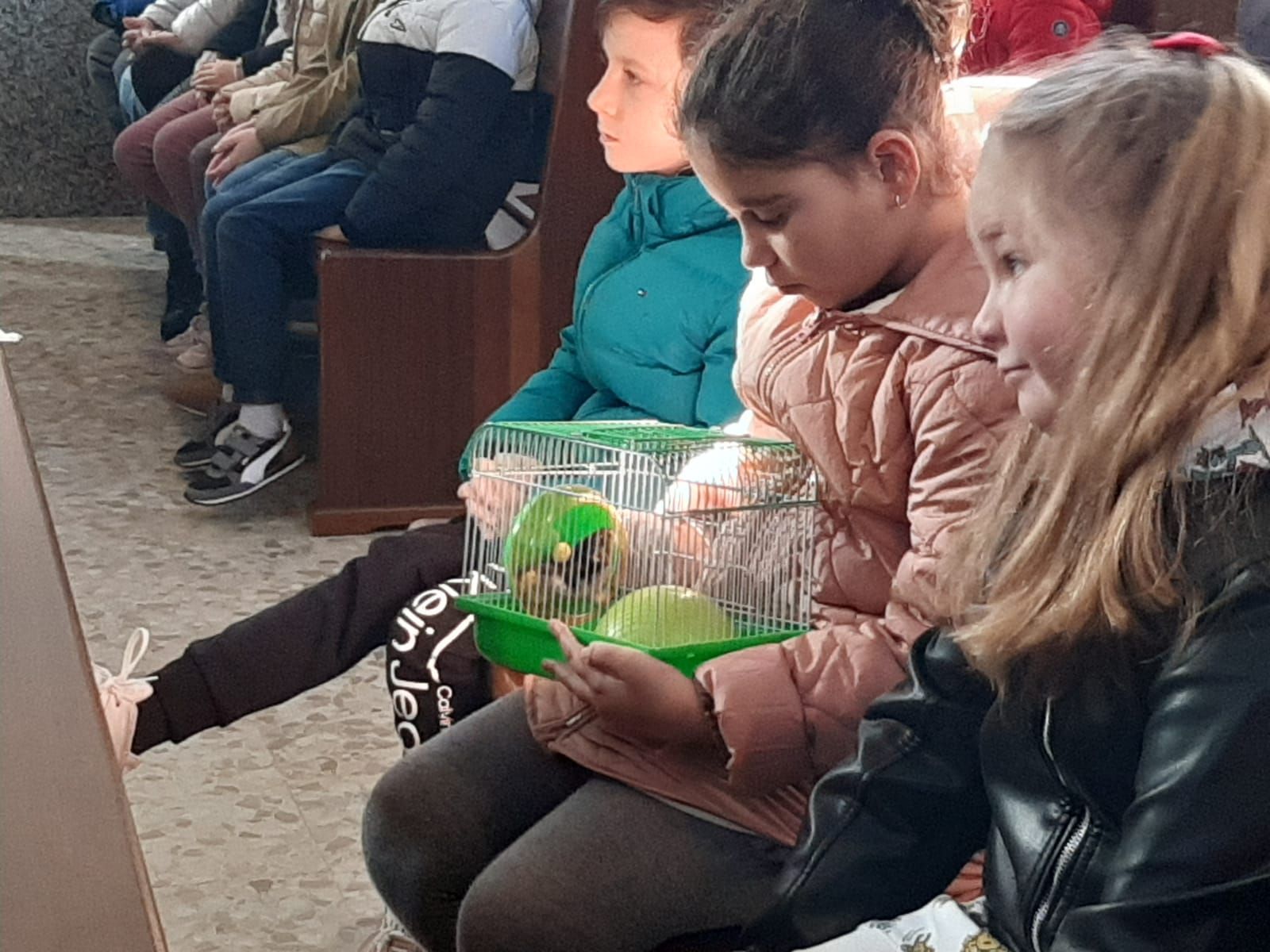 San Antón, hasta la bandera en Lugones: decenas de vecinos llevan a bendecir a sus mascotas