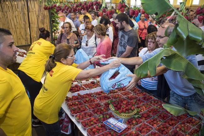 Fiesta de la Freasa en Valsequillo con concurso ...