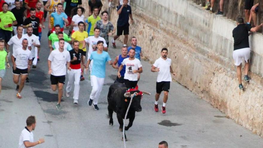 Torico de la cuerda