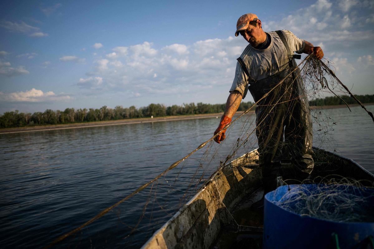 Jeremy Fuchs, el único pescador profesional del río Rin