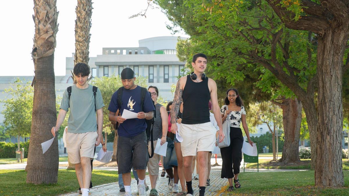 Estudiantes en la Universidad de Alicante