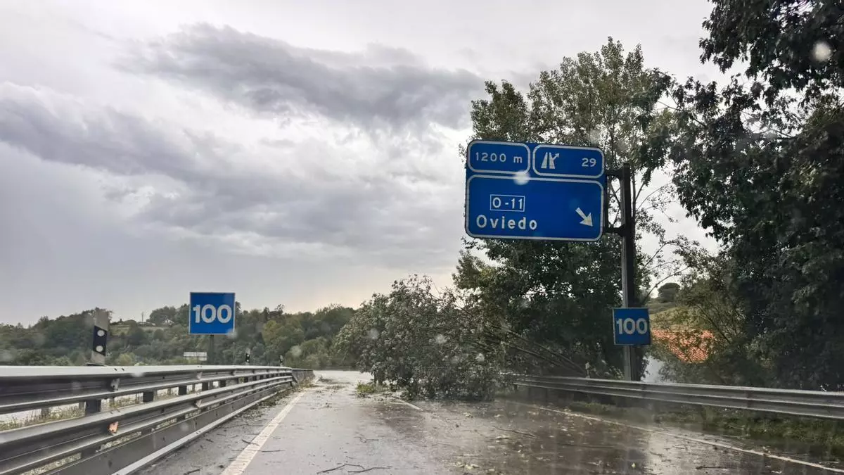 VÍDEO: Tremenda tormenta en Oviedo: granizos como canicas y la caída de árboles obliga a cortar un carril de la ronda exterior