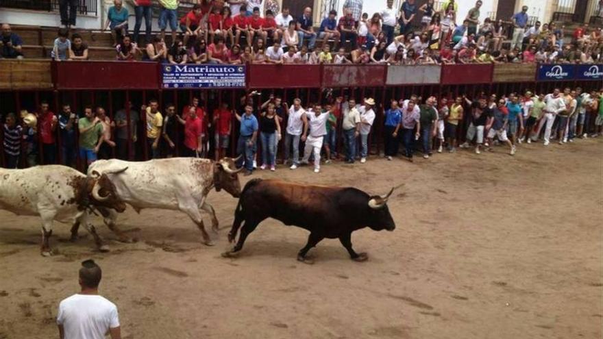 Los Sanjuanes de Coria llenan las calles de ritmo, música y emoción