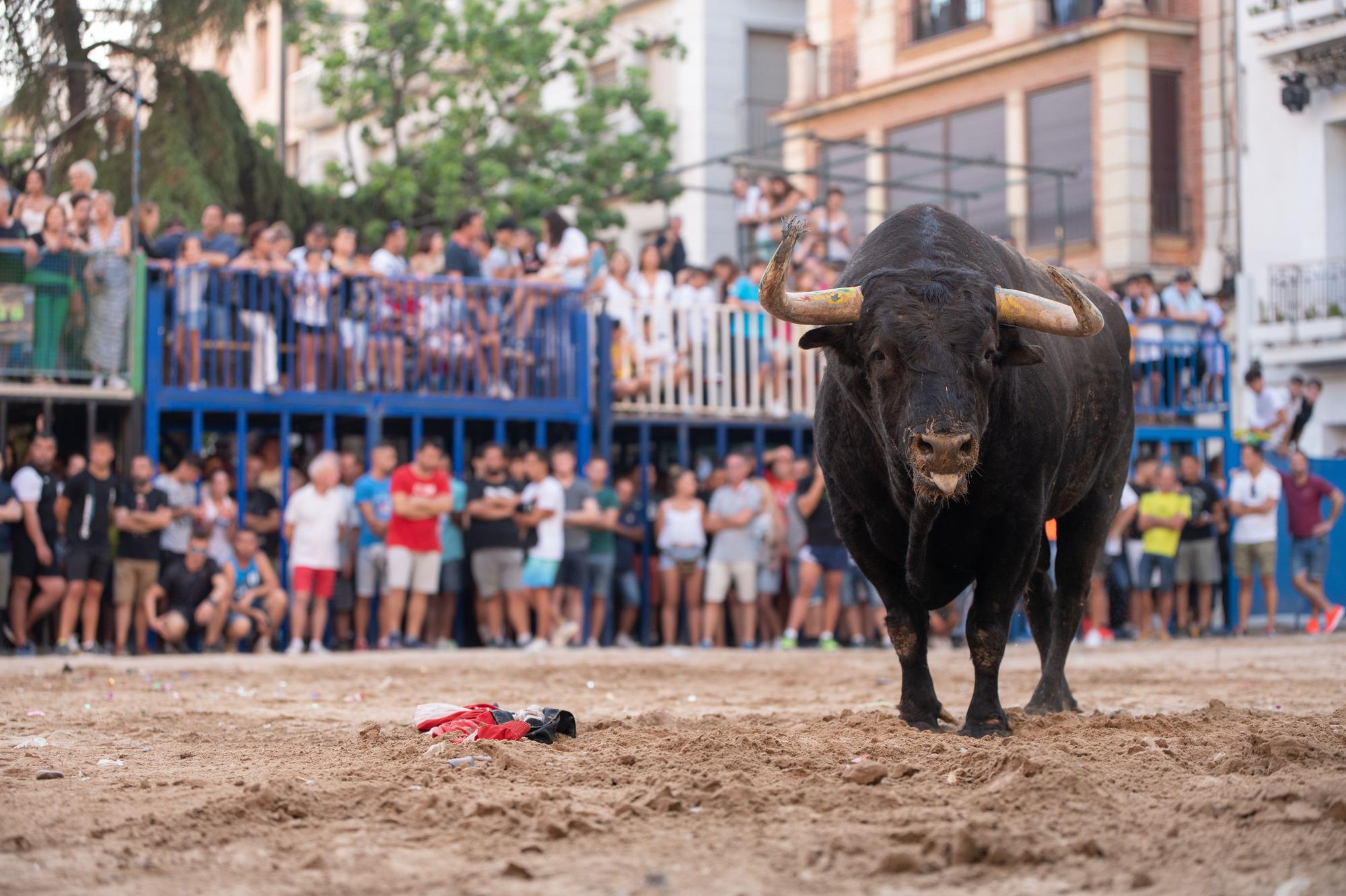 El primer día de fiestas en Burriana en imágenes