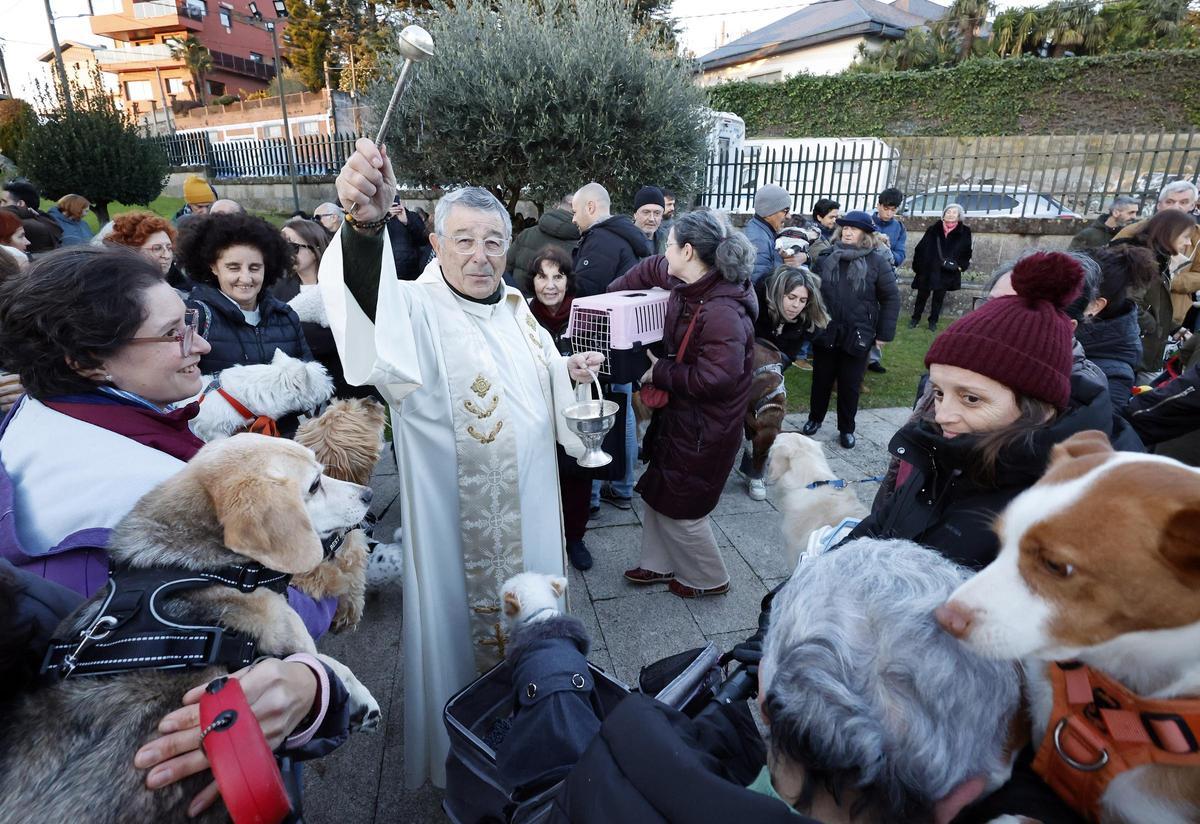 San Antón bendice a los animales en Vigo