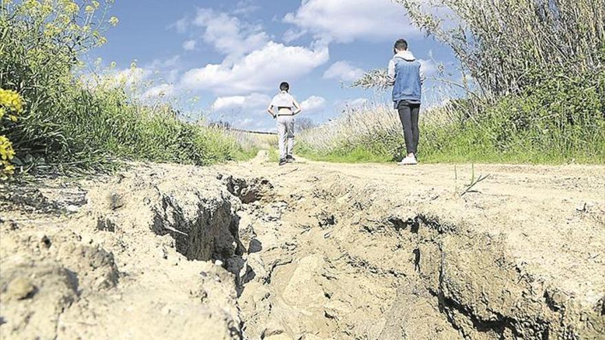 El Ayuntamiento cifra en 950.000 euros los daños en caminos por el temporal