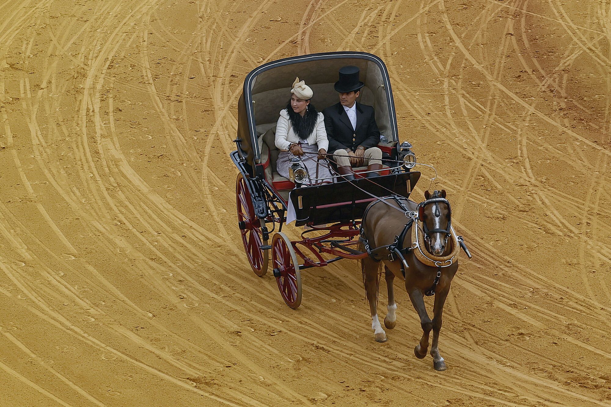 SEVILLA, 07/05/2025.- XXXIX Exhibición de Enganches de Sevilla con la participación de un total de 94 carruajes de España, Portugal, Italia y Estados Unidos, este miércoles. EFE /Jose Manuel Vidal