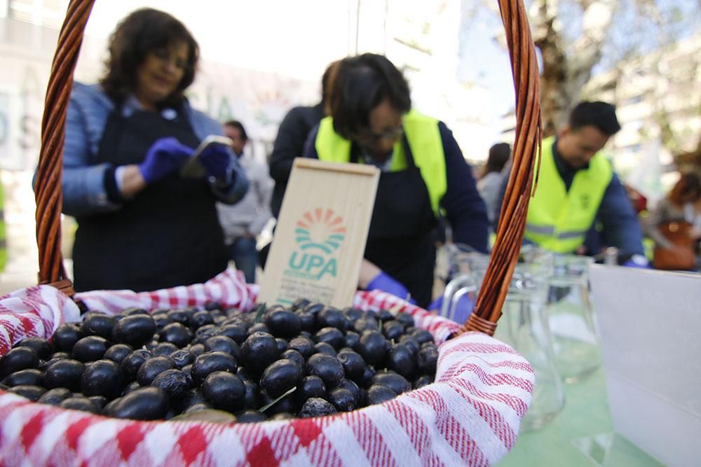 Protesta de los agricultores por los bajos precios del aceite