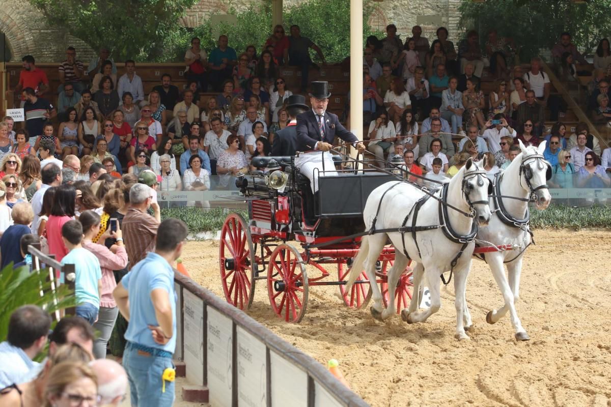 Concurso de atalaje de tradición en Cabalcor