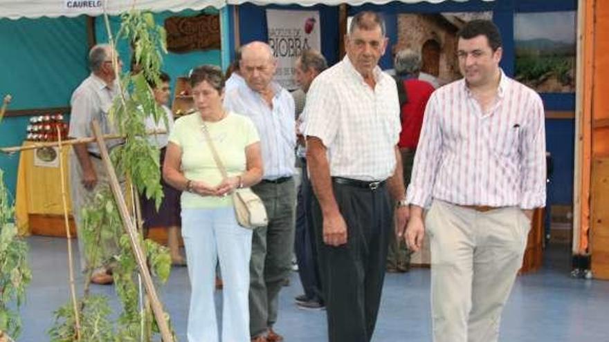 Feria ecológica de Vegadeo, en una edición anterior