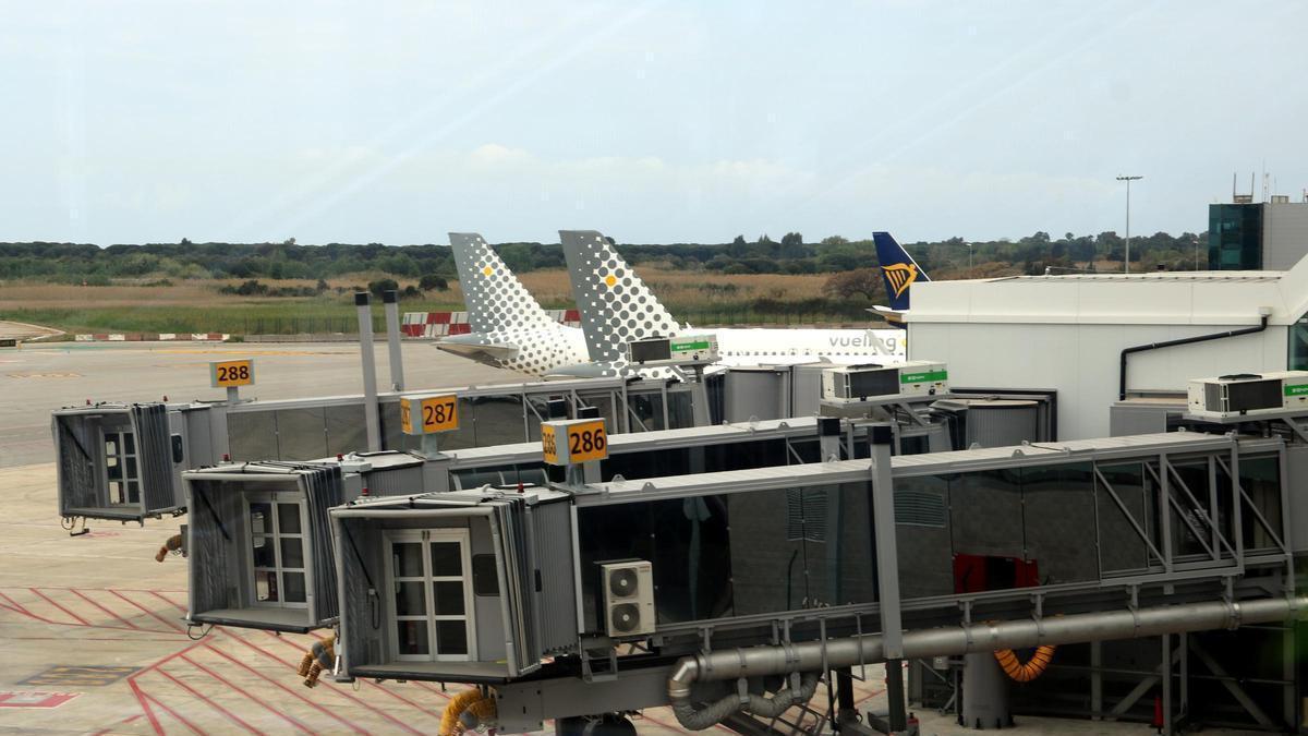 Alguns dels nous 'fingers' que s'han instal·lat al dic sud de la terminal 1 de l'aeroport del Prat