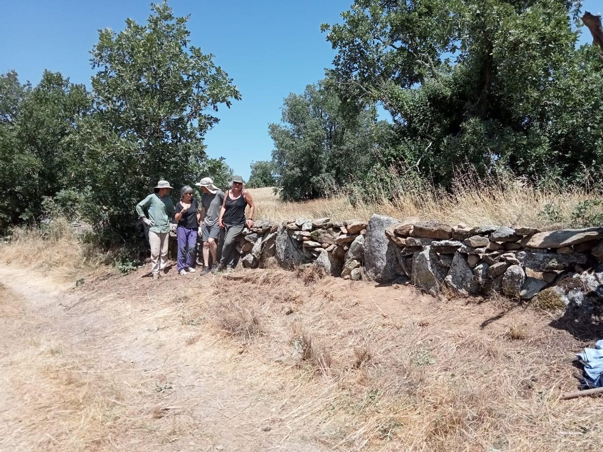 Voluntarios en la actividad organizada por la asociación "Los Caozos" junto a uno de los impulsores de red Sapiense posan junto a un tramo de pared reconstruido.